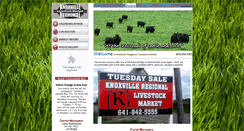 Desktop Screenshot of knoxvilleregional.com